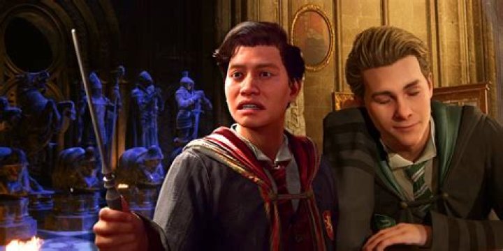 Why did Harry use crucio on Bellatrix?