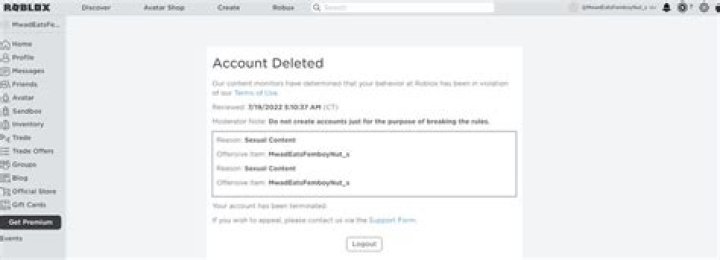 Why did Roblox delete my account?
