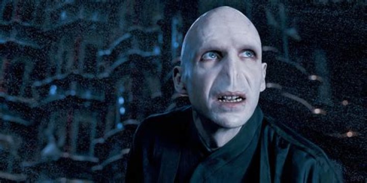 Why did Voldemort go to Grindelwald?