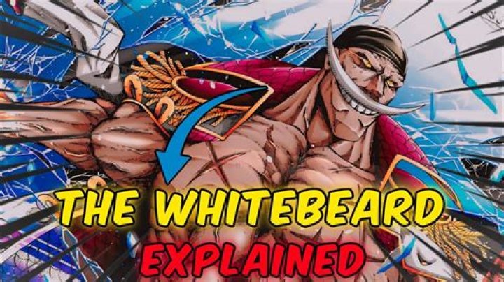 Why didnt whitebeard use Armament Haki in marineford?