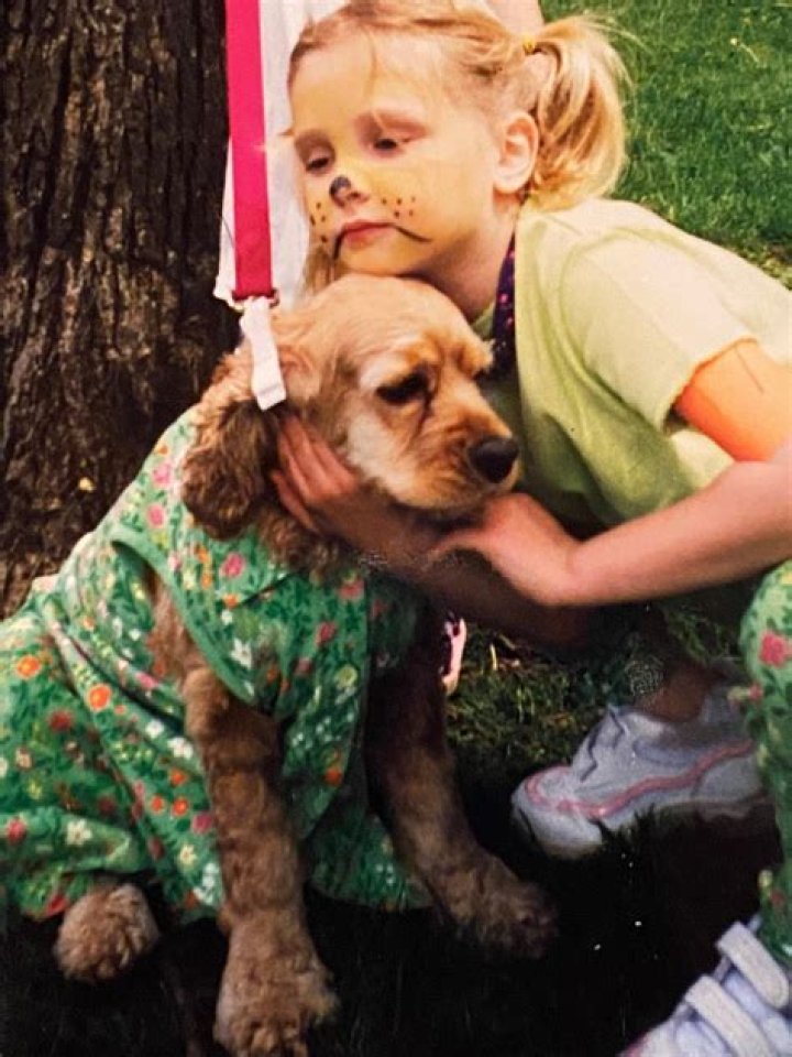 Why do dogs look away when in trouble?
