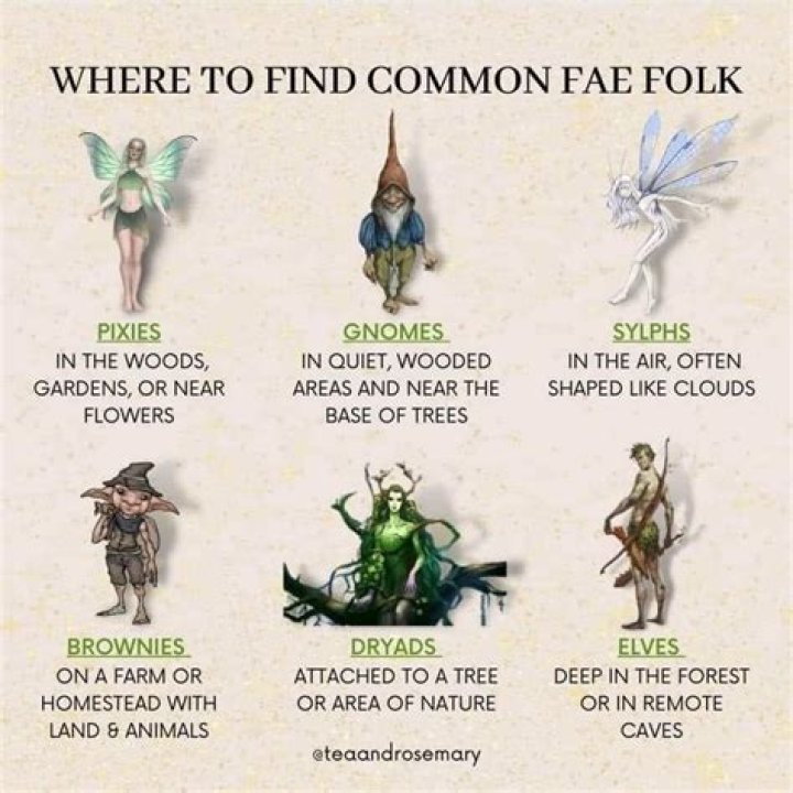 Why do fairies hide from humans?