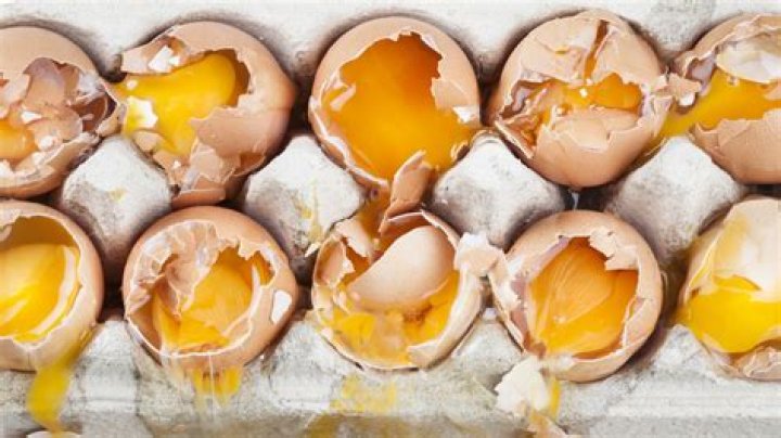 Why do I keep finding broken eggs in my coop?