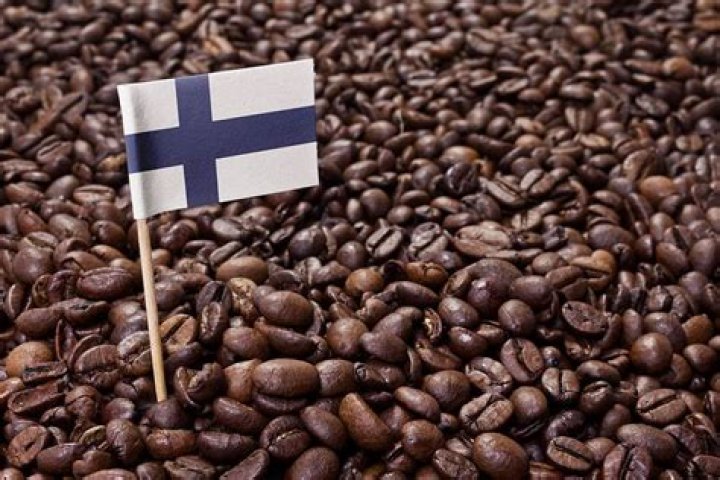 Why do people in Finland drink so much coffee?