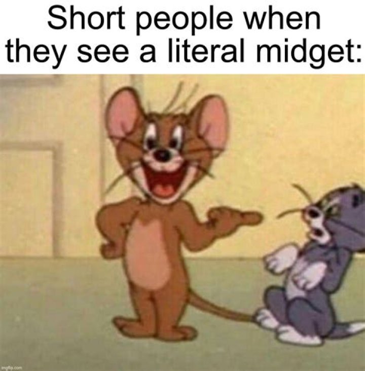 Why do people scream when they see a mouse?