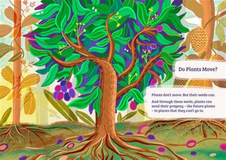 Why do plants vibrate?