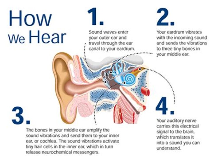 Why do we hear sound in silence?