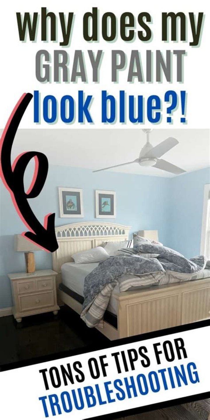 Why does every gray paint look blue?