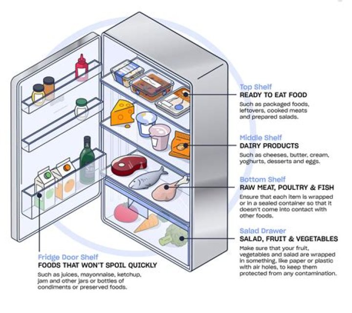 Why does food in my fridge keep molding?