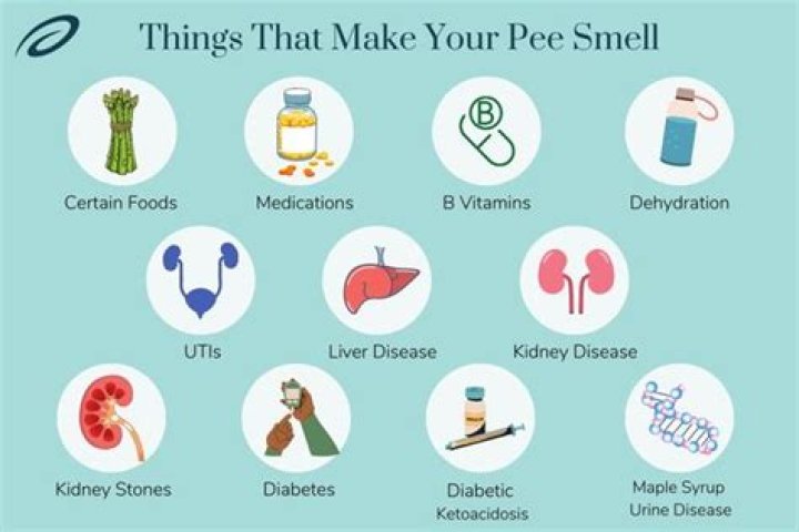Why does my baby's private area smell?