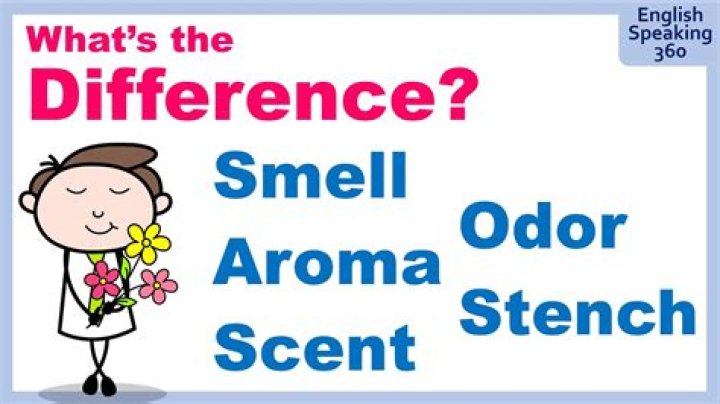 Why does my body odor smell different?
