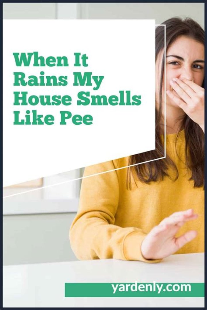 Why does my house smell like pee?