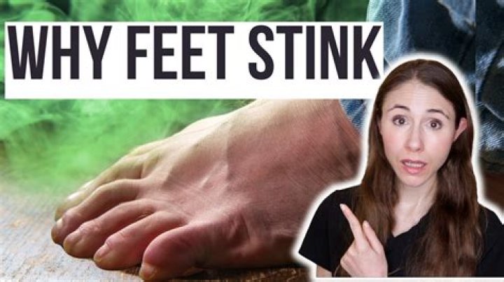 Why does my house stink?