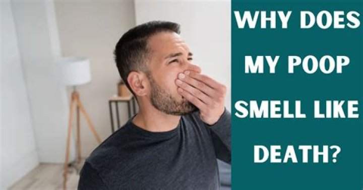 Why does my poop smell like a sewer?
