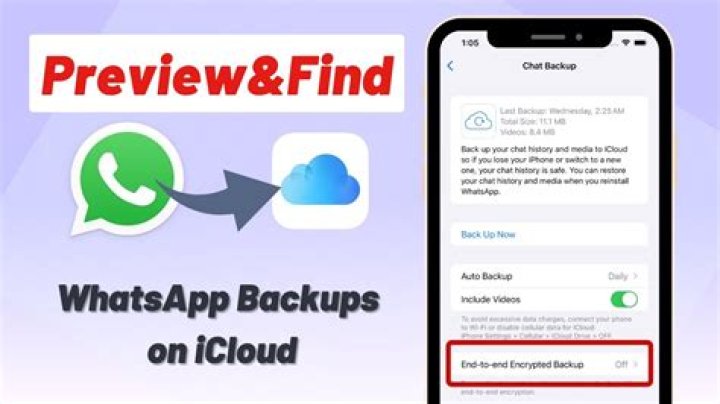 Why does WhatsApp backup at 2am?