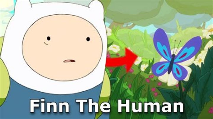 Why is Finn the only human?