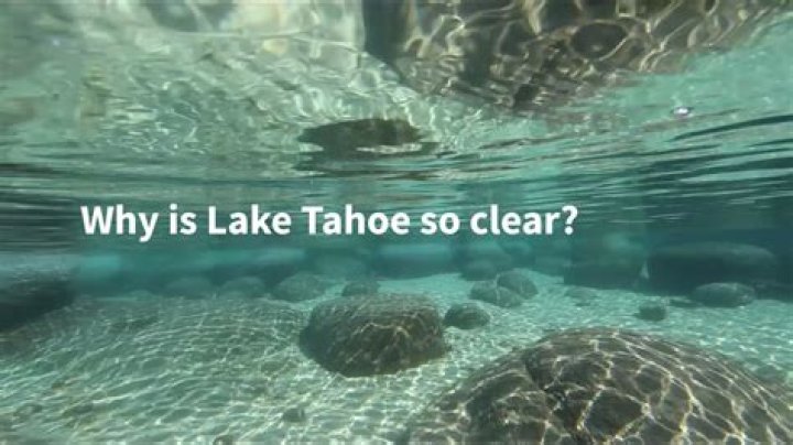Why is Lake Tahoe so clear?