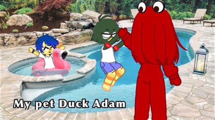 Why is my duck so mean?