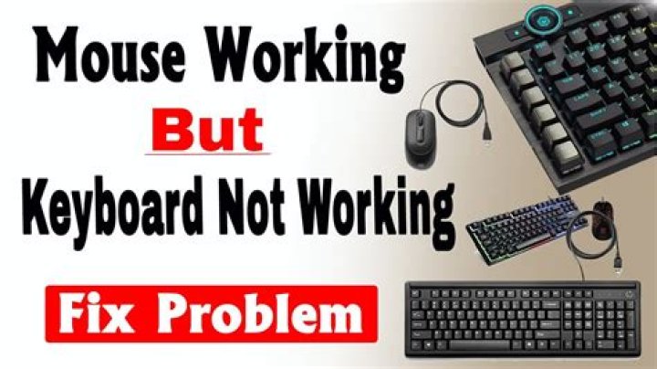 Why is my mouse on my keyboard not working?