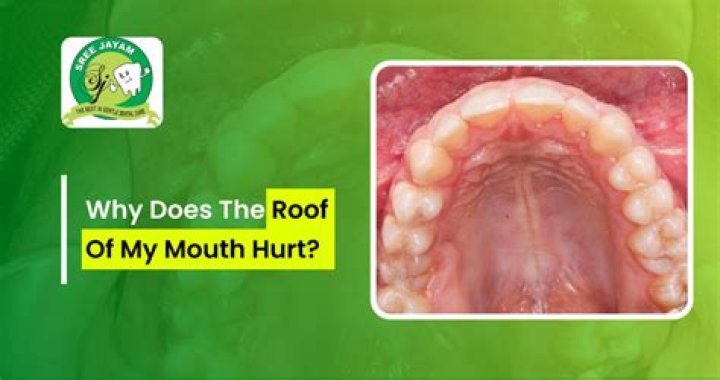 Why is my mouth raw on the inside?