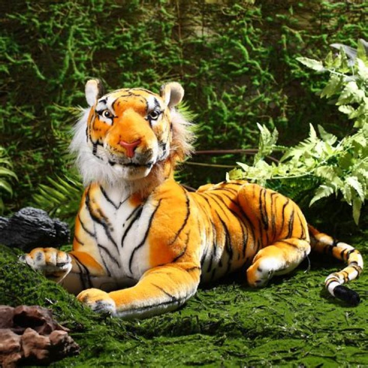 Why is my Tiger Oscar turning white?