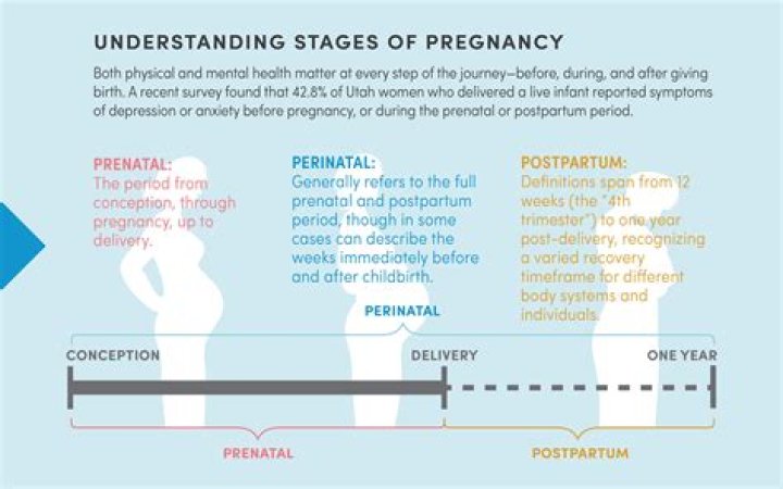 Why is postpartum so hard?