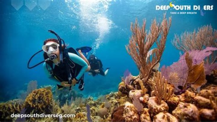 Why is scuba diving expensive?