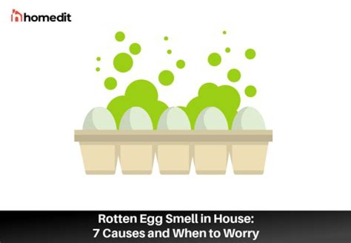 Why my house smells like rotten eggs?