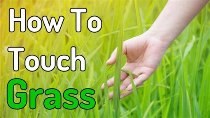 Why should I touch some grass?