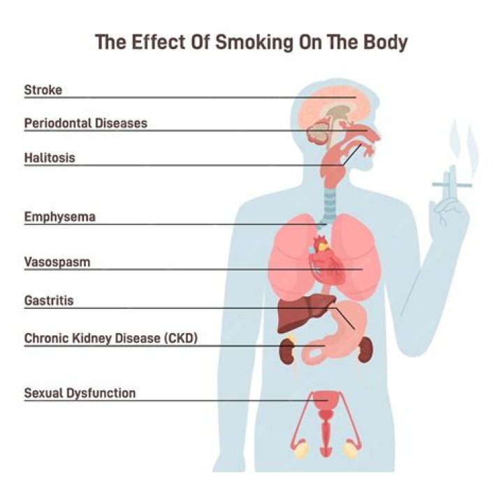 Why was smoking so popular?