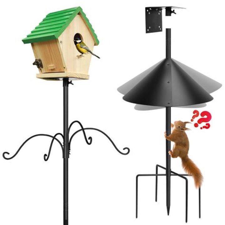 Will a squirrel use a bird house?