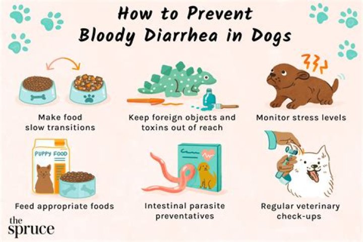 Will bananas help with diarrhea in dogs?