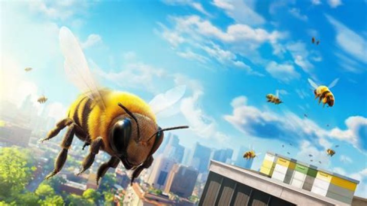 Will bees chase you if you run?