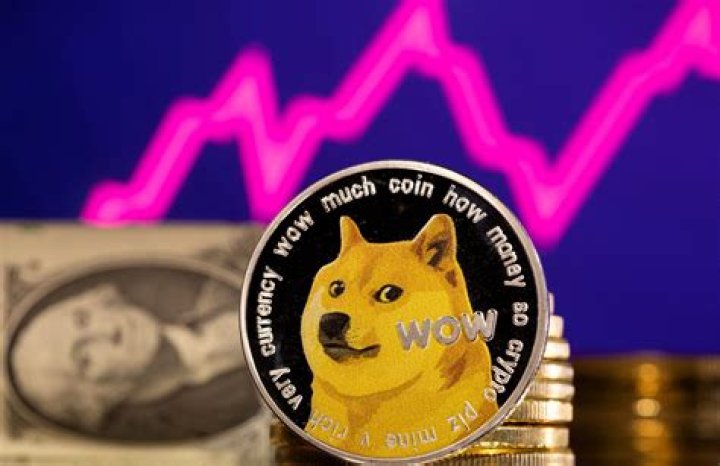 Will Dogecoin survive long term?