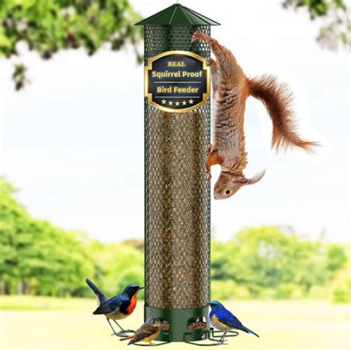 Will red pepper keep squirrels out of bird feeders?