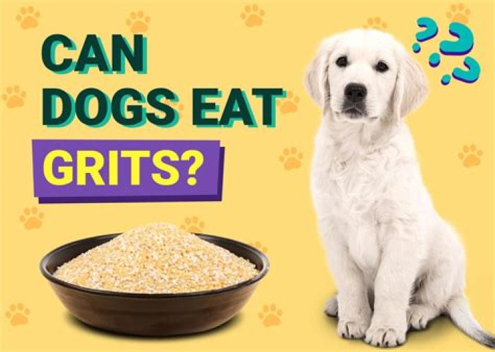 Will snakes eat small dogs?