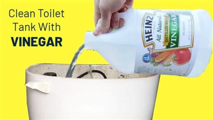 Will vinegar clean a gas tank?