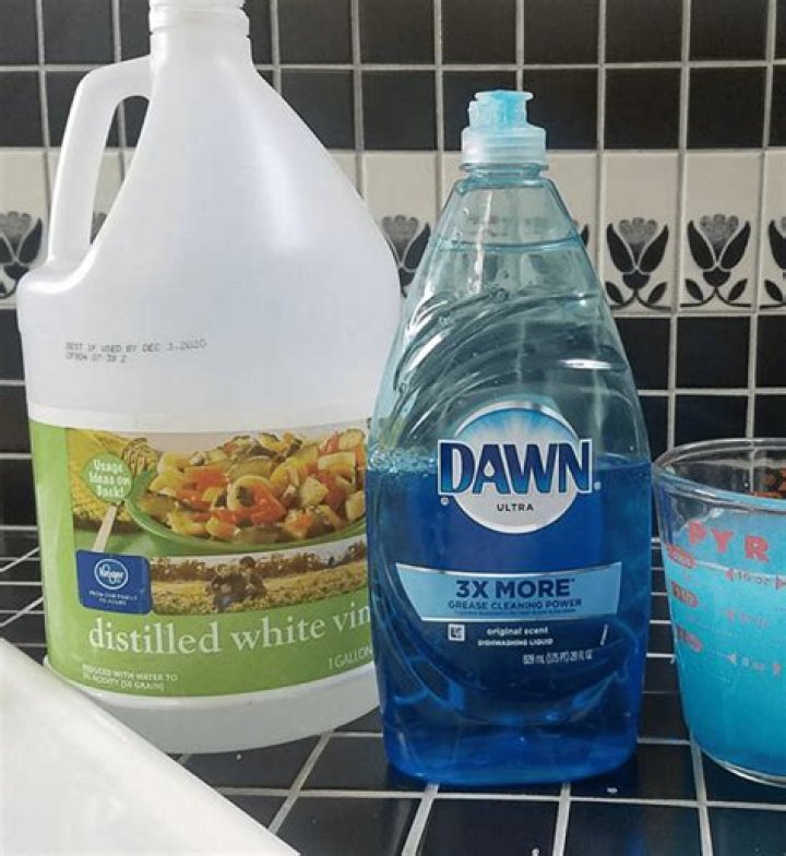 Will vinegar clean grout efflorescence?
